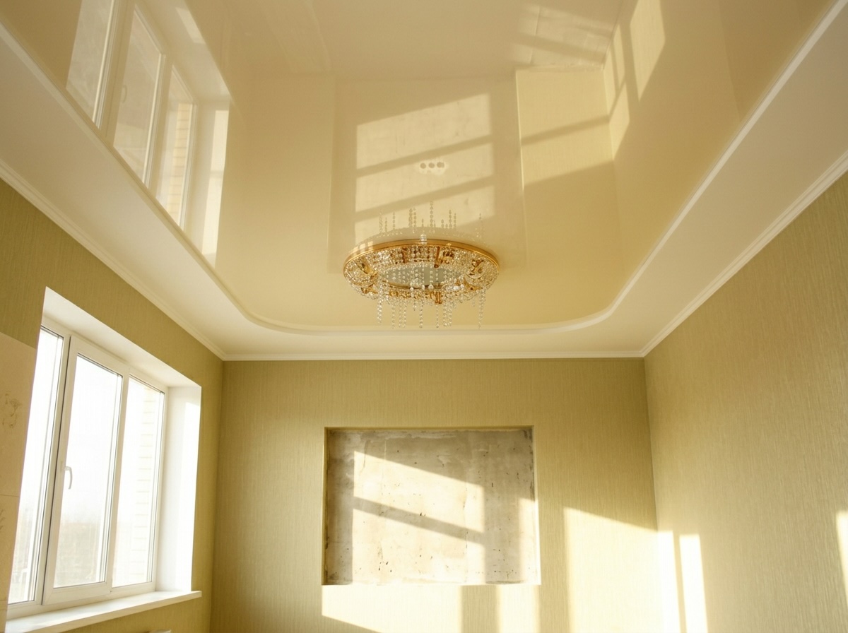 Двухуровневый чёрно-белый потолок